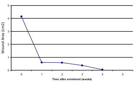 wound area measurements