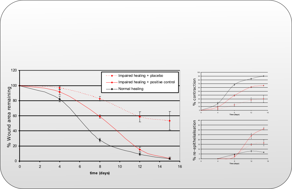 wound contraction